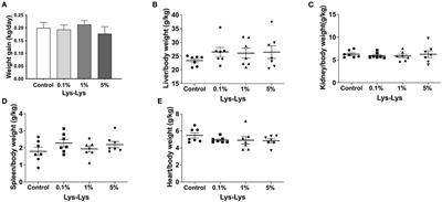 Effects of Lysine–Lysine Dipeptide on Serum Amino Acid Profiles, Intestinal Morphology, and Microbiome in Suckling Piglets